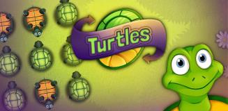 Turtles
